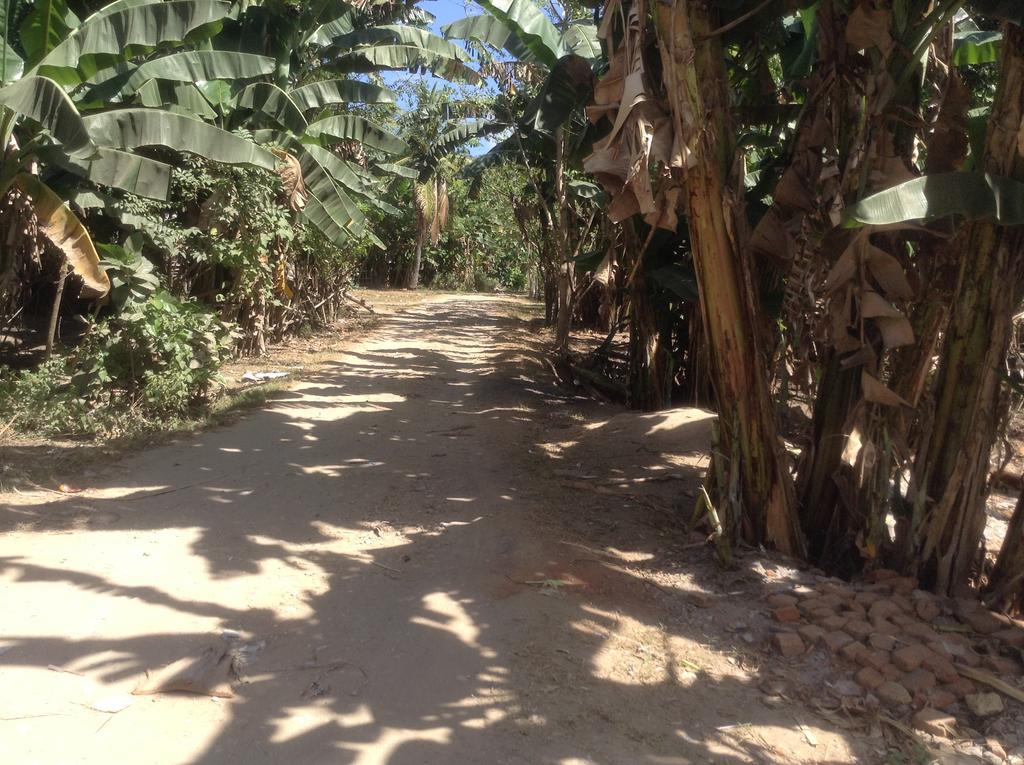 Rasti Homestay Kuta  Exterior foto